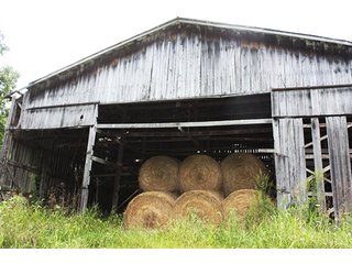 Property photo 10 - LAND AUCTION - 261+/- ACRES IN BRECKINRIDGE COUNTY